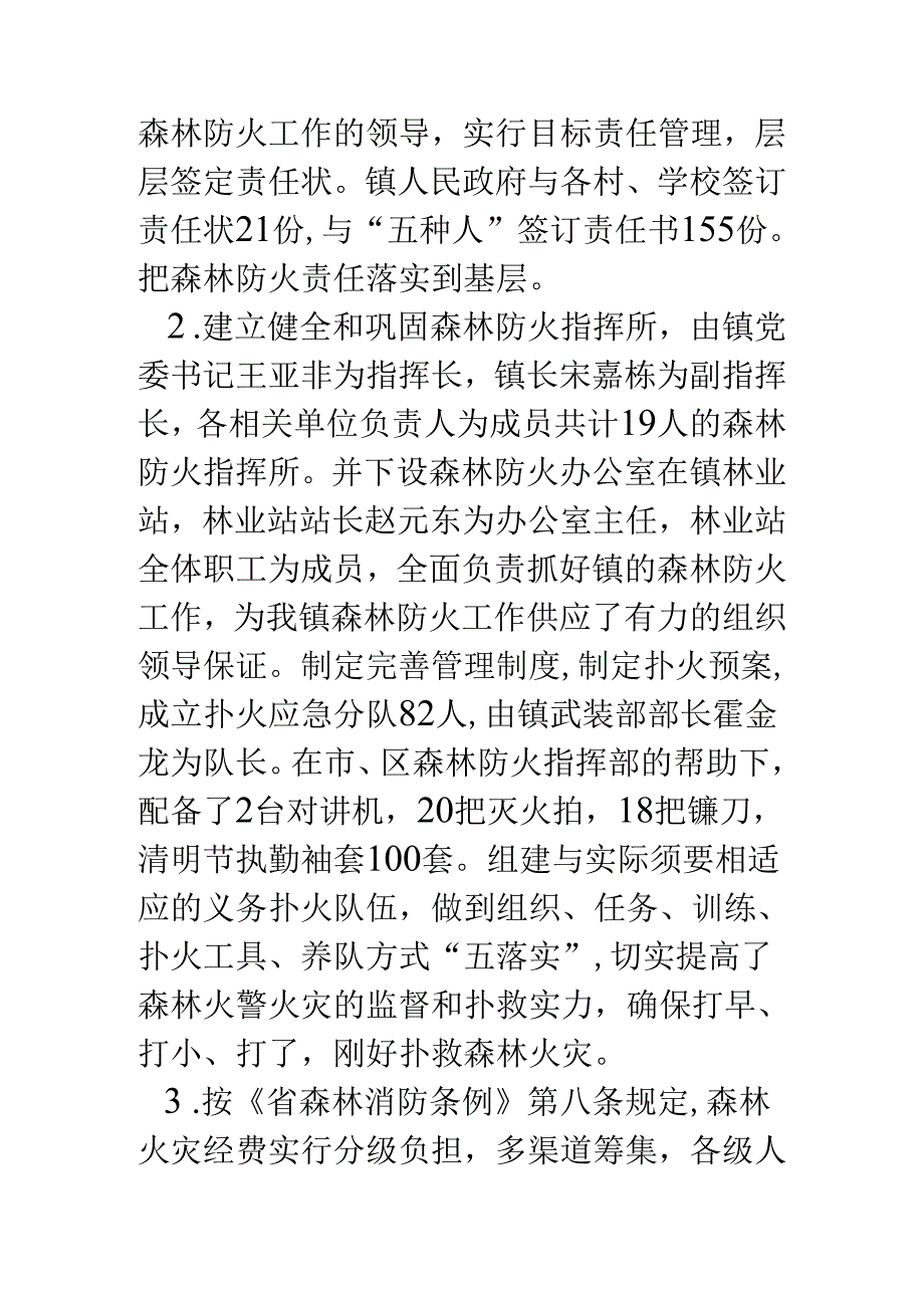 乡镇森林防火工作自查报告.docx_第2页