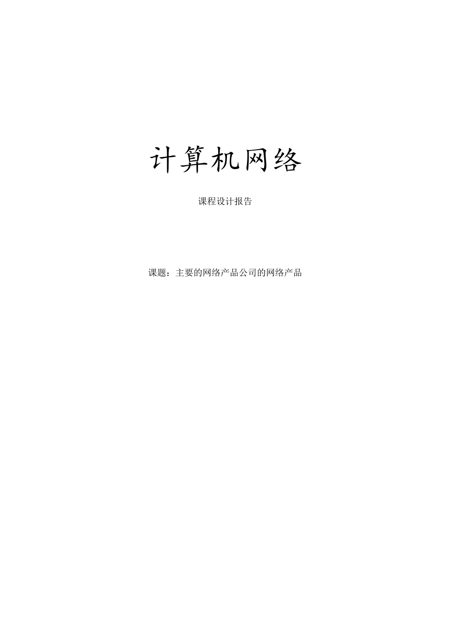 主要的网络产品公司的网络产品.docx_第1页