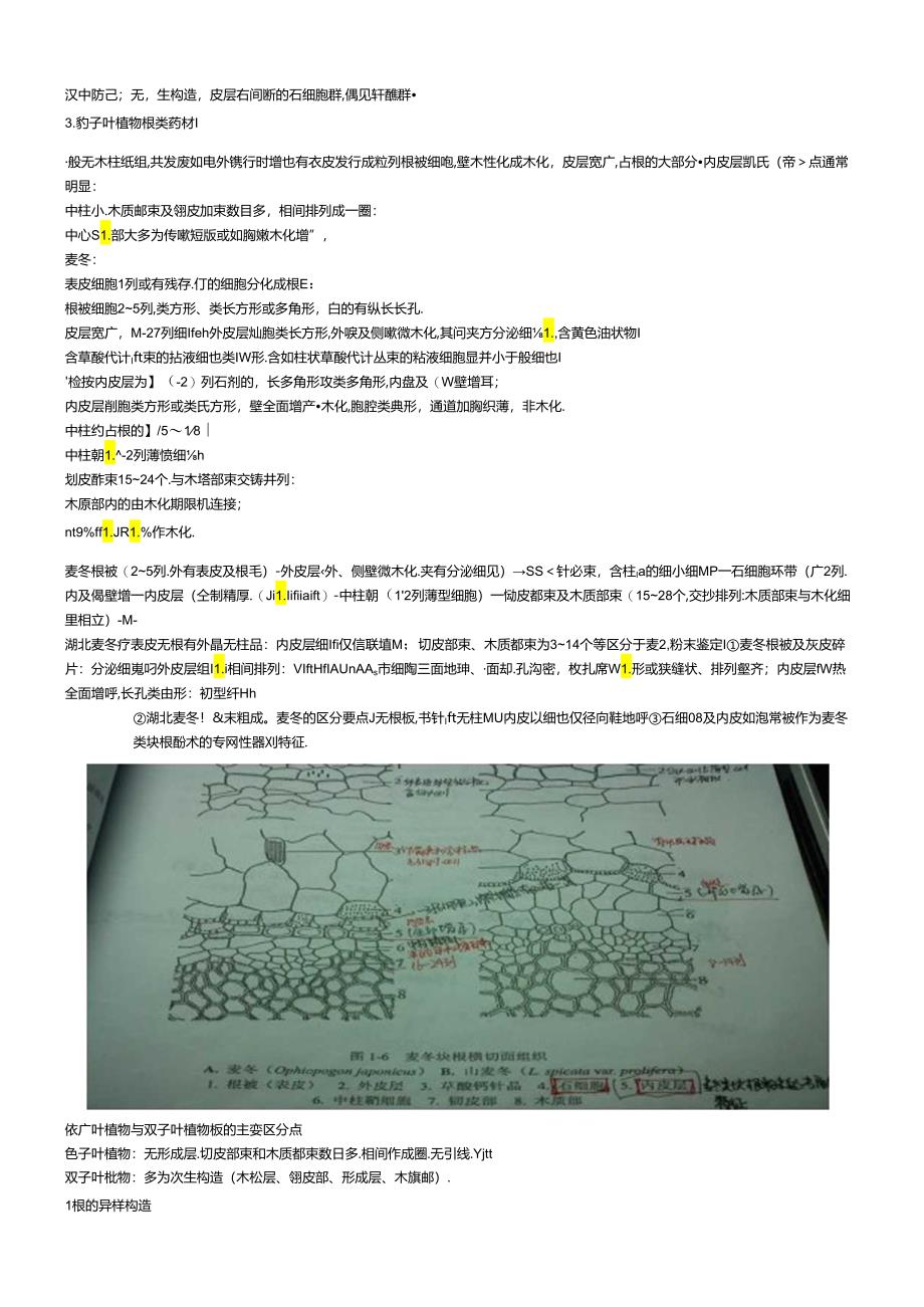 中药显微鉴定.docx_第1页