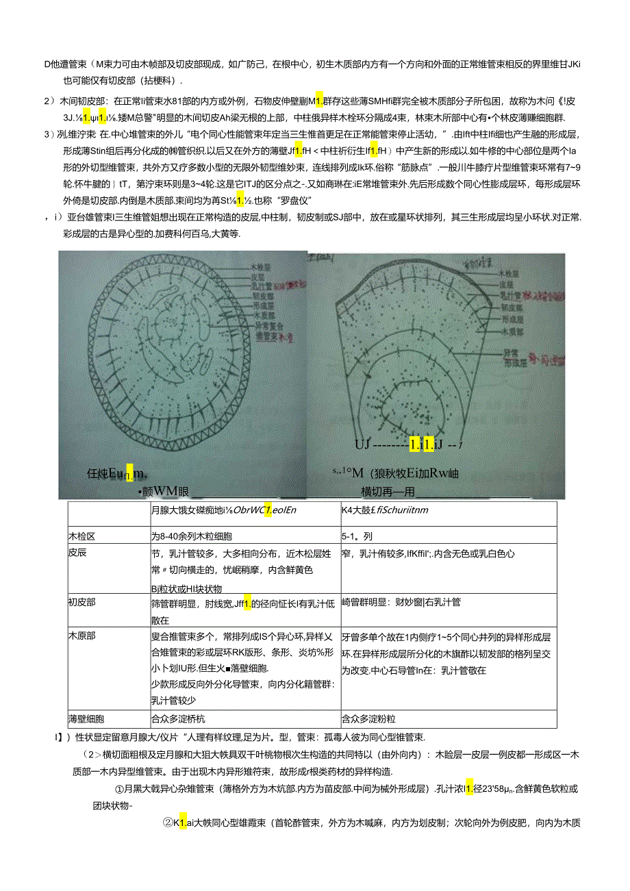 中药显微鉴定.docx_第2页