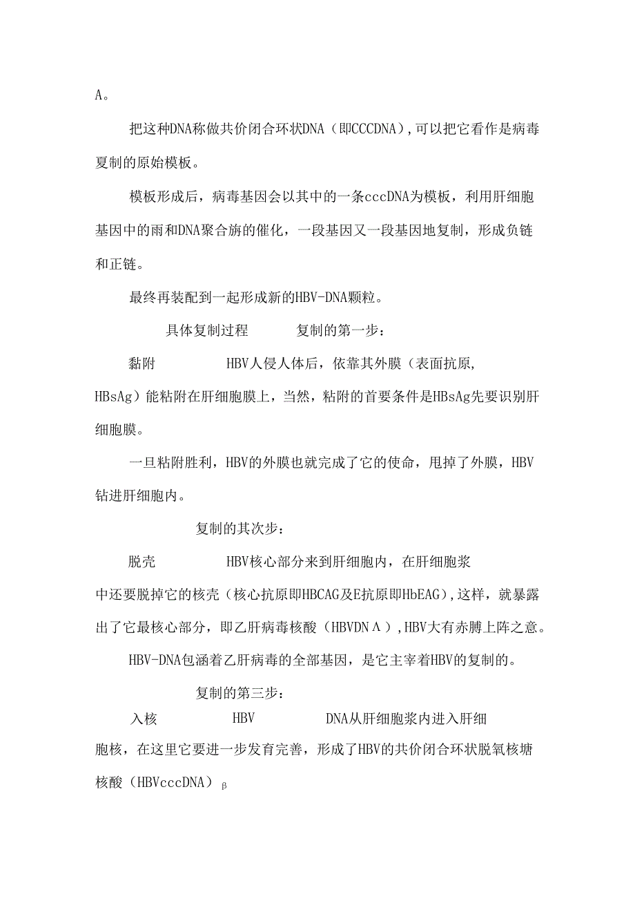 乙肝病毒DNA概述_0.docx_第3页