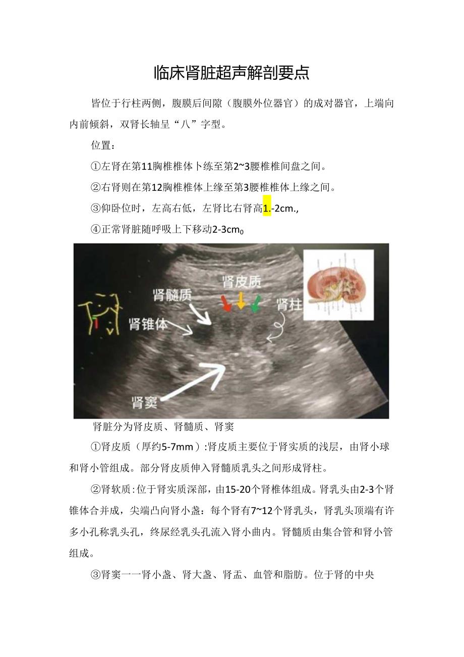 临床肾脏超声解剖要点.docx_第1页