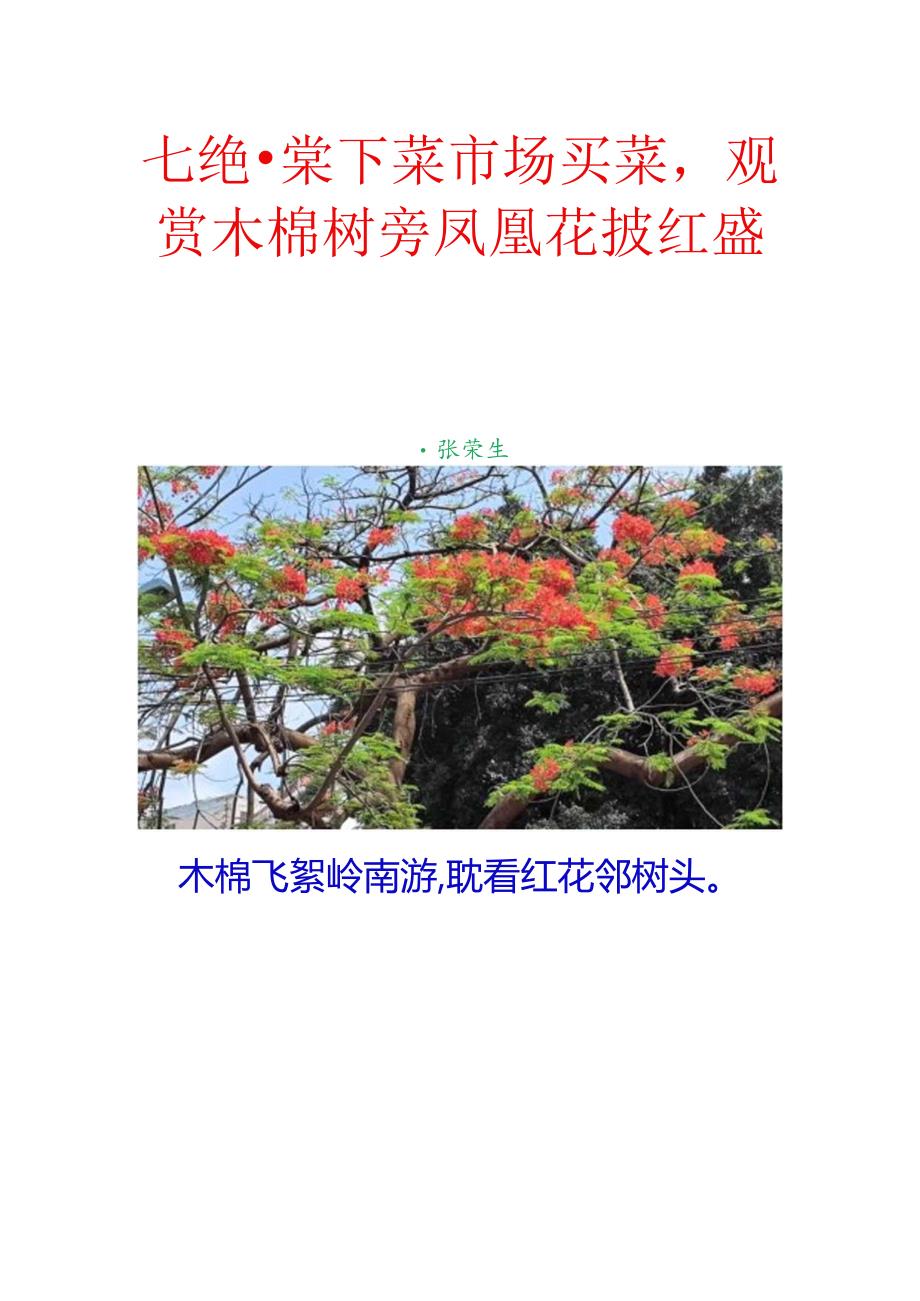 七绝-棠下菜市场买菜观赏木棉树旁凤凰花披红盛放.docx_第1页