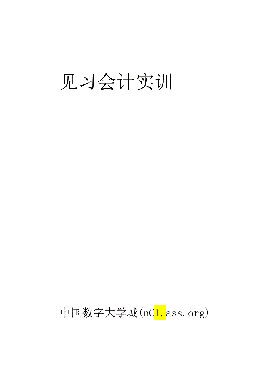 【南京大学见习会计课公告】--实训报告样本.docx_第1页