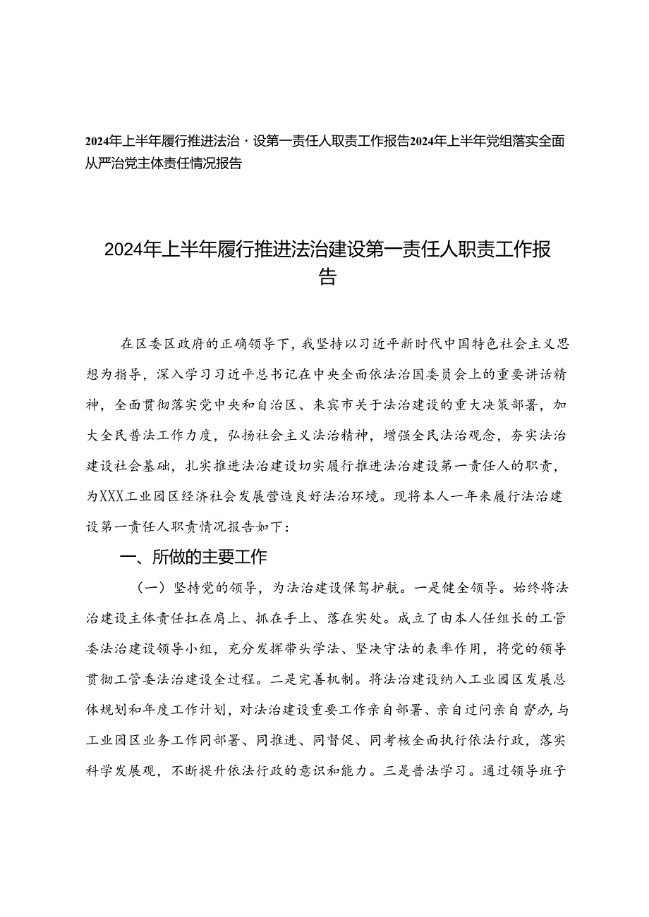 2024年上半年党组落实全面从严治党主体责任情况报告、2024年上半年履行推进法治建设第一责任人职责工作报告.docx_第1页