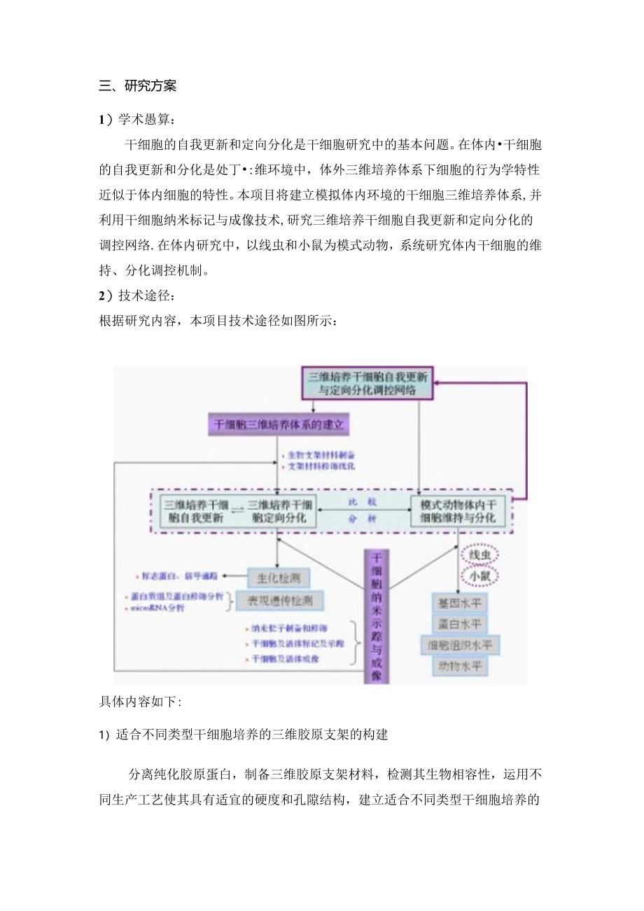 三维培养干细胞自我更新与定向分化的调控网络.docx_第3页