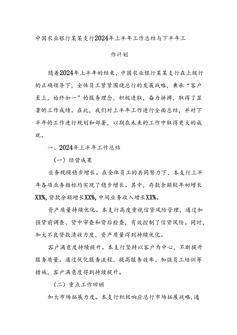 中国农业银行某某支行2024年上半年工作总结与下半年工作计划.docx_第1页