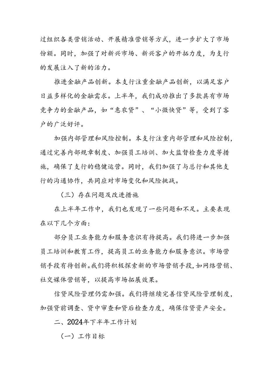 中国农业银行某某支行2024年上半年工作总结与下半年工作计划.docx_第2页