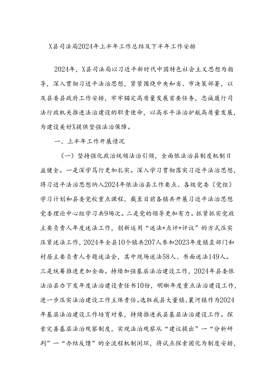 X县司法局2024年上半年工作总结及下半年工作安排.docx_第1页