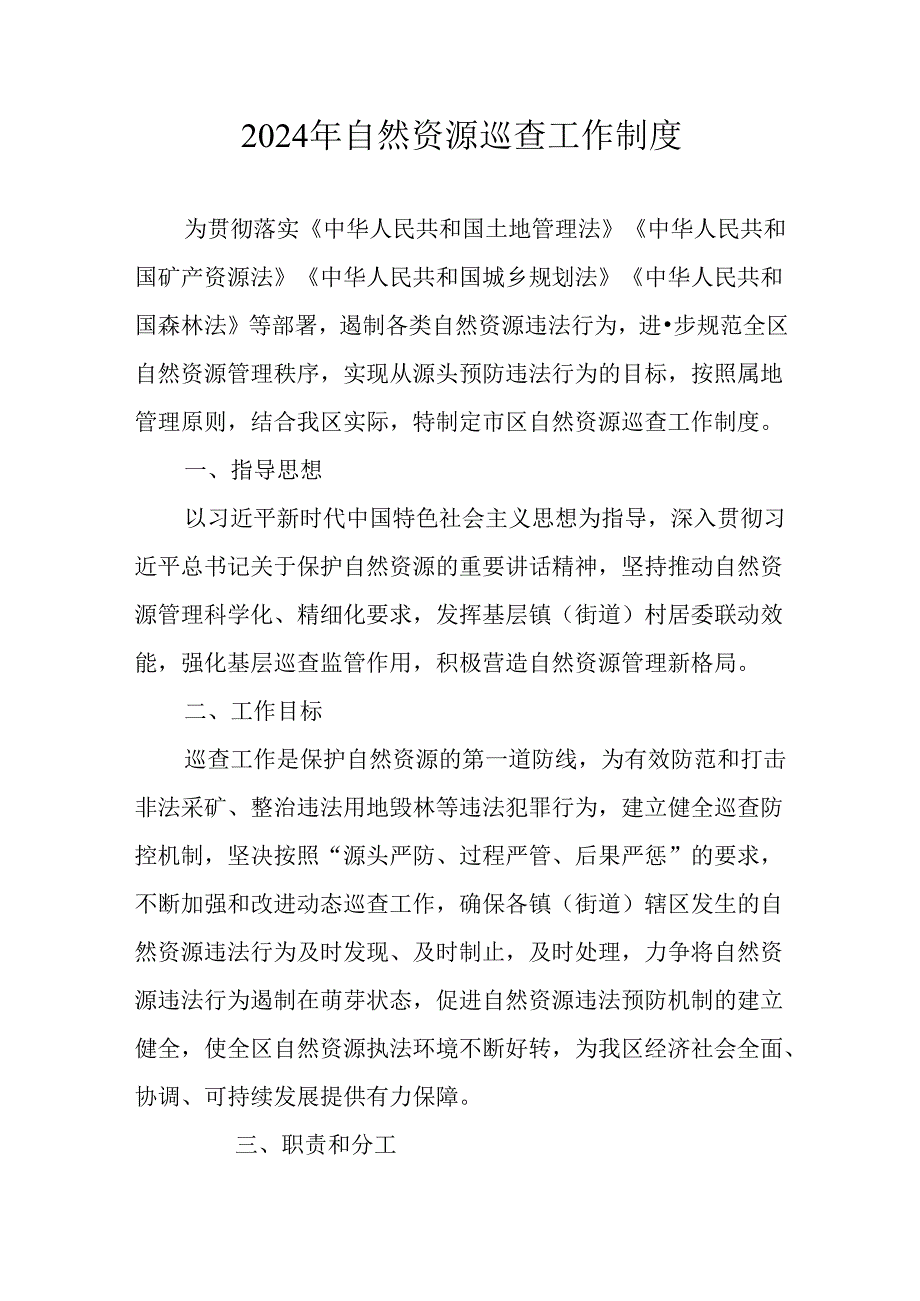 2024年自然资源巡查工作制度.docx_第1页