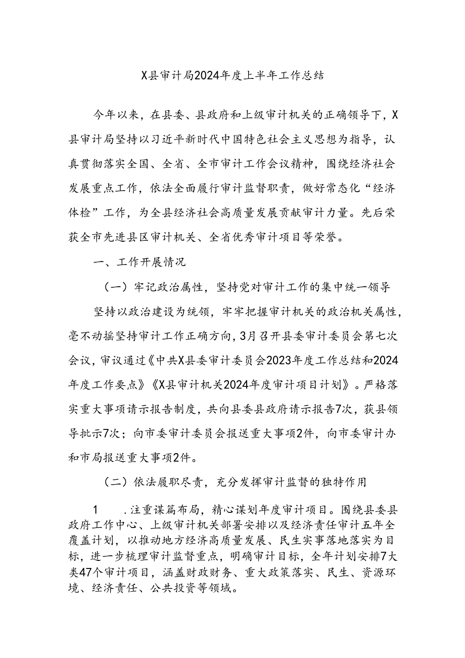 X县审计局2024年度上半年工作总结.docx_第1页