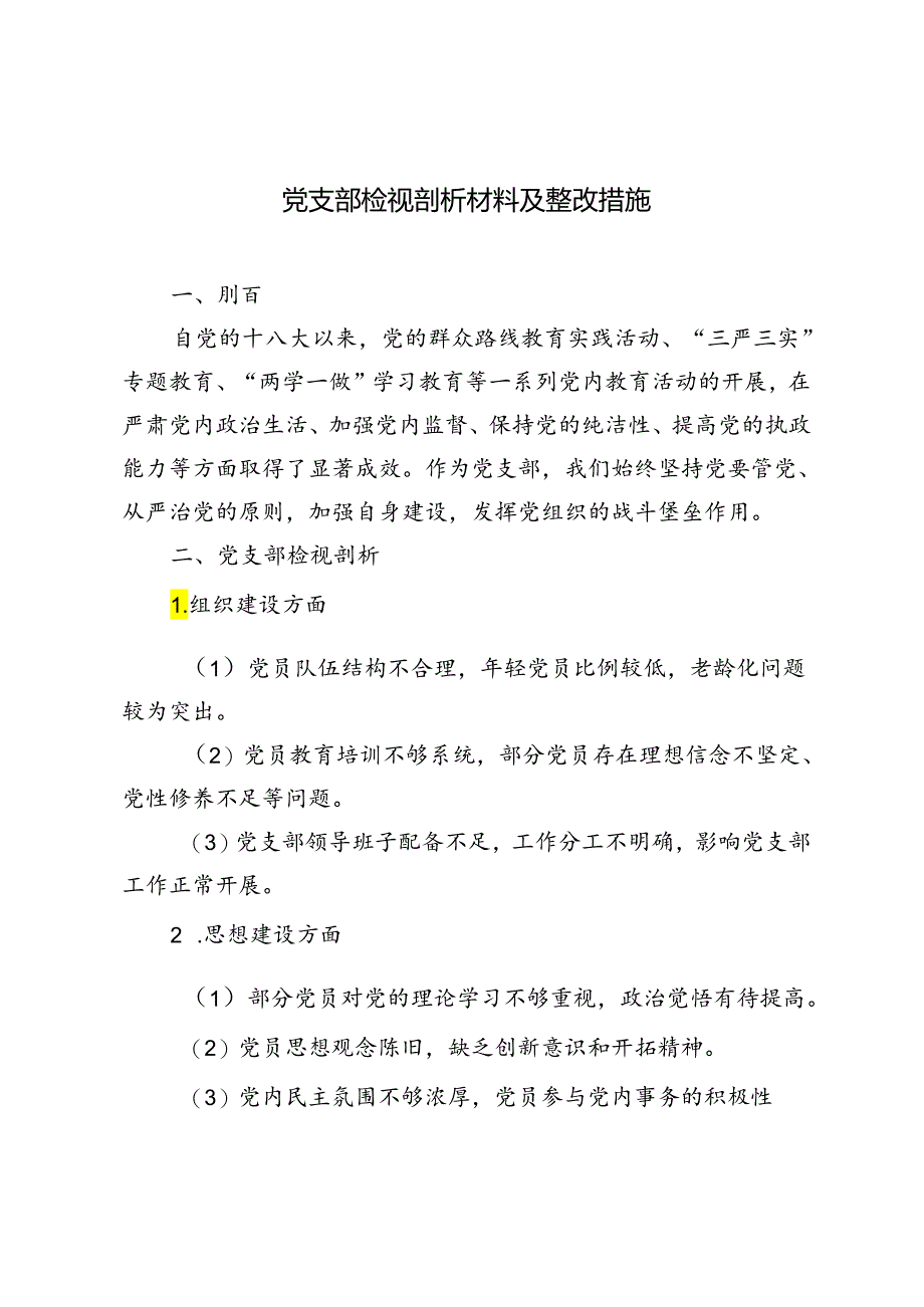 2024年7月党支部检视剖析材料及整改措施.docx_第1页