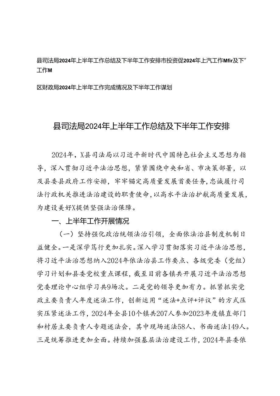 3篇 2024年上半年工作完成情况及下半年工作谋划（县司法局、市投资促进局、区财政局、）.docx_第1页