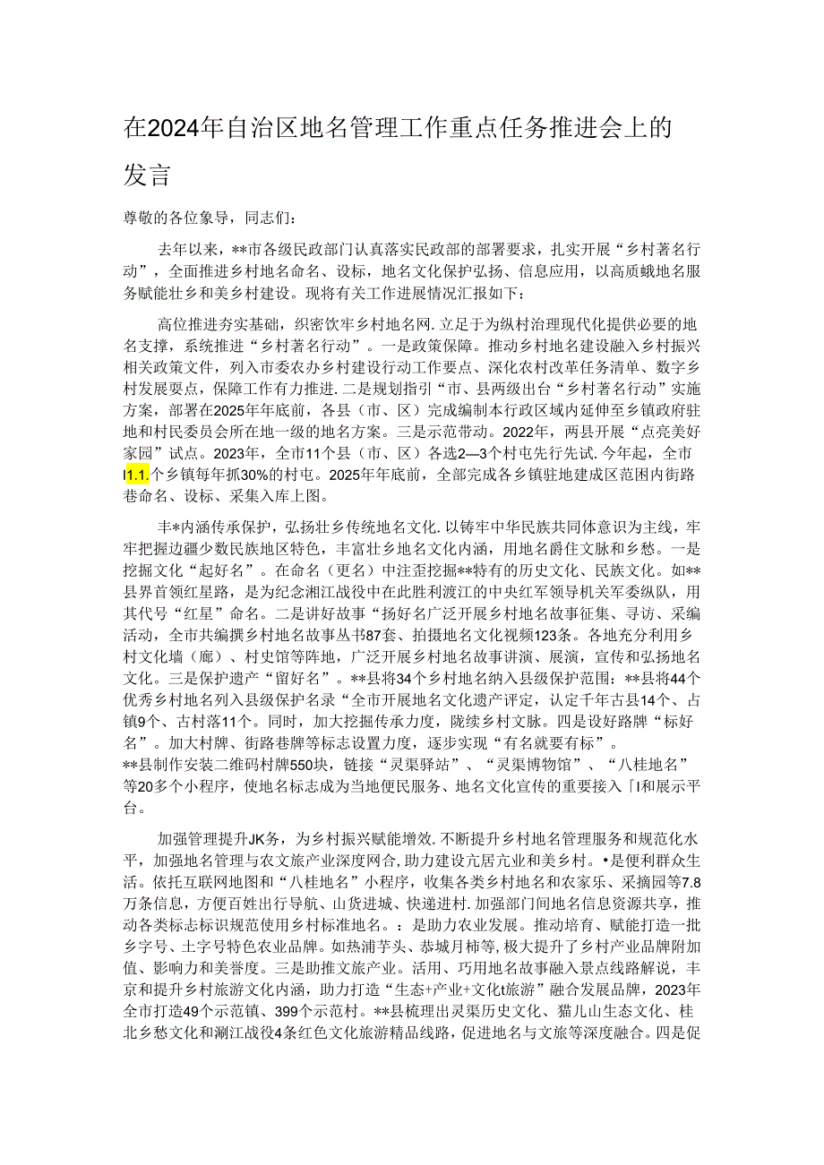 在2024年自治区地名管理工作重点任务推进会上的发言.docx_第1页