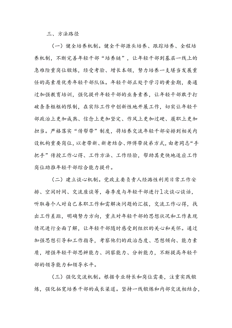 年轻干部培养计划的实施方案.docx_第2页