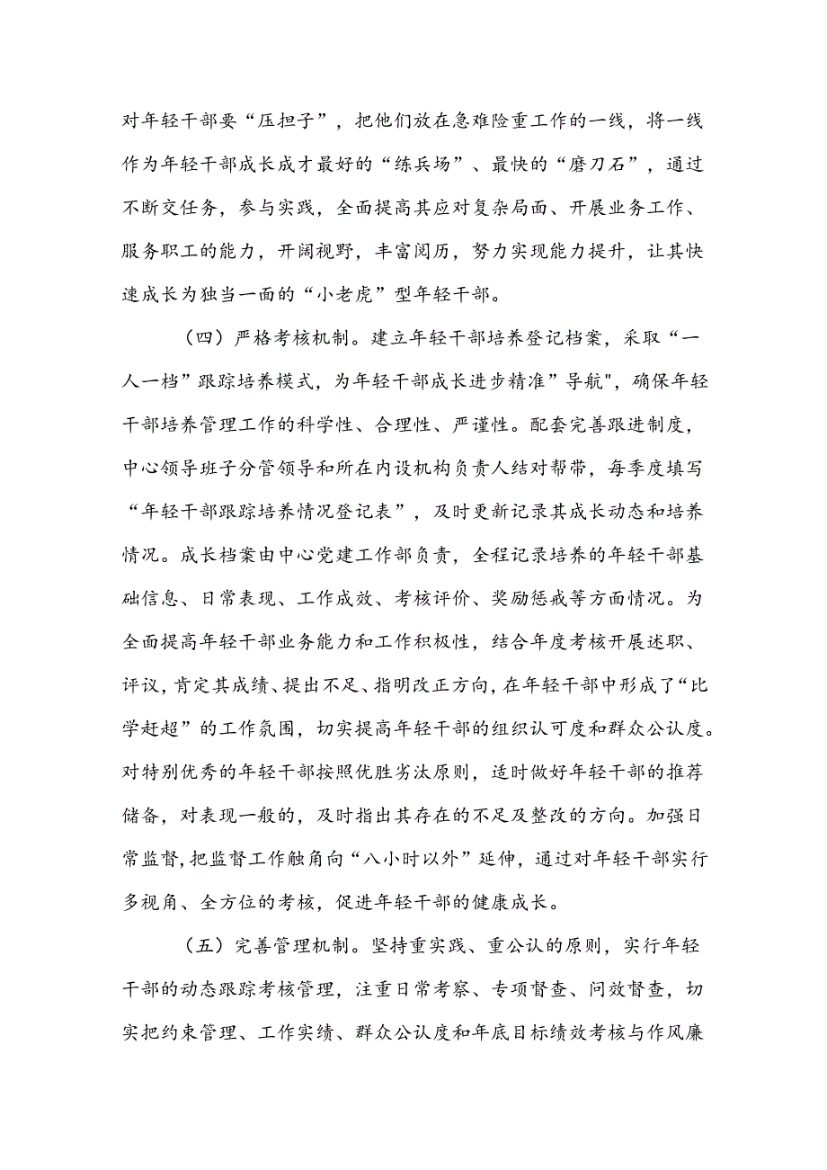 年轻干部培养计划的实施方案.docx_第3页