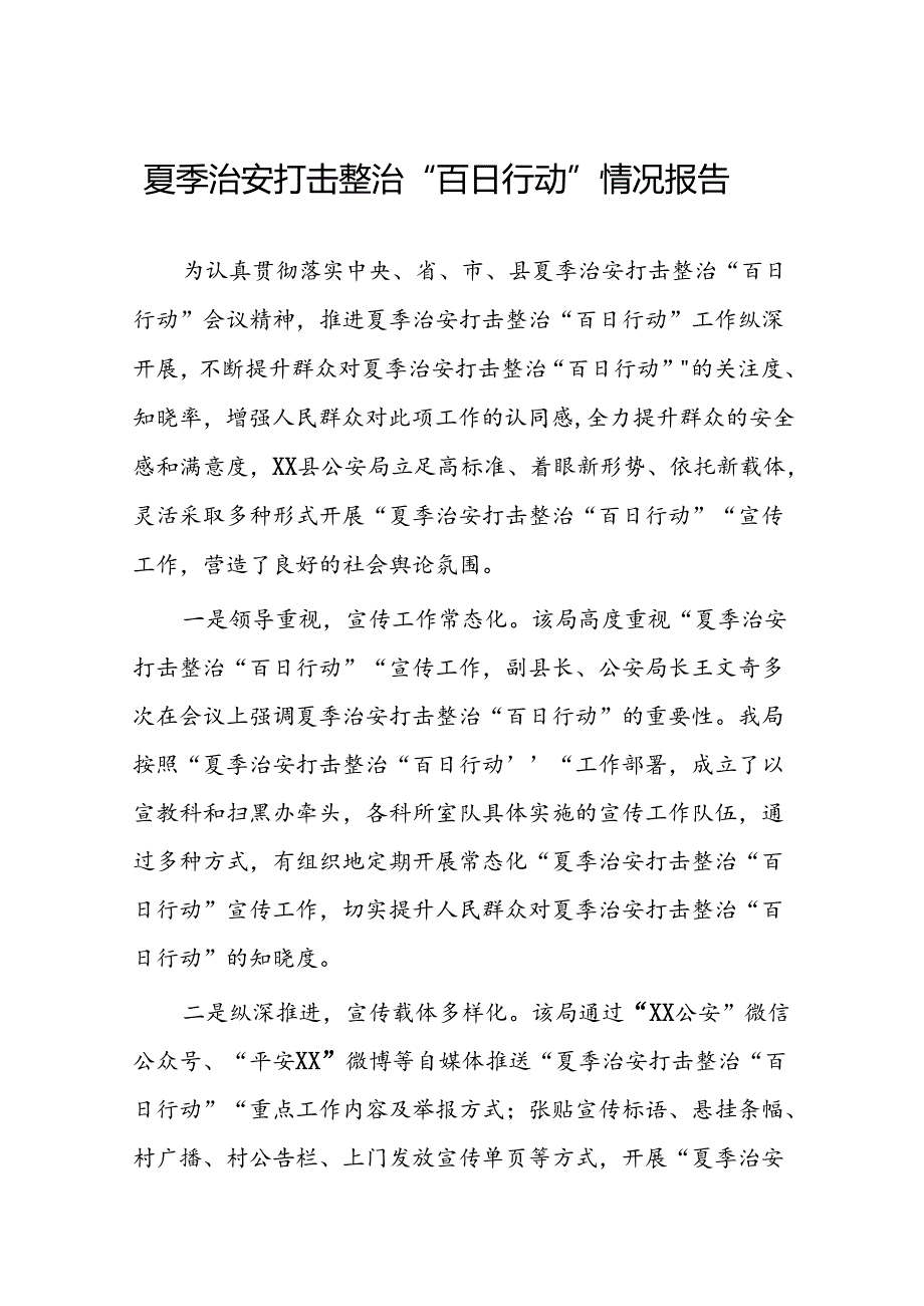 派出所2024公安夏季治安打击整治行动情况报告(十篇).docx_第1页