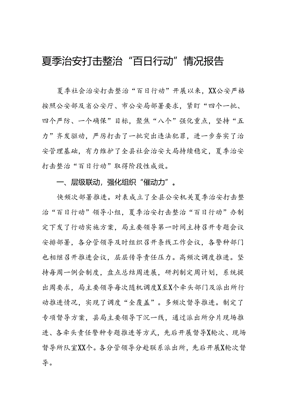 2024年公安夏季治安打击整治“百日行动”阶段性总结报告8篇.docx_第1页