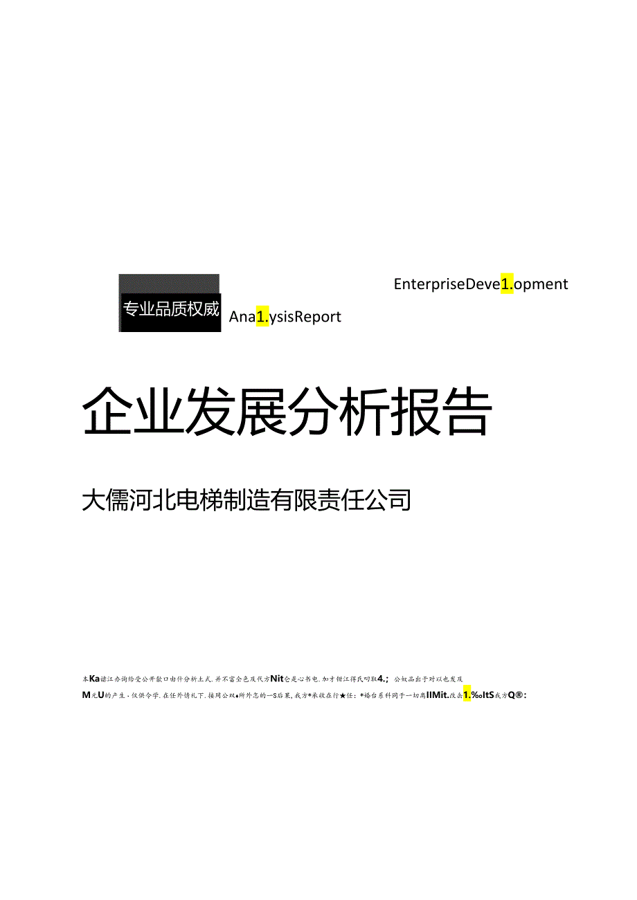 大儒河北电梯制造有限责任公司介绍企业发展分析报告模板.docx_第1页