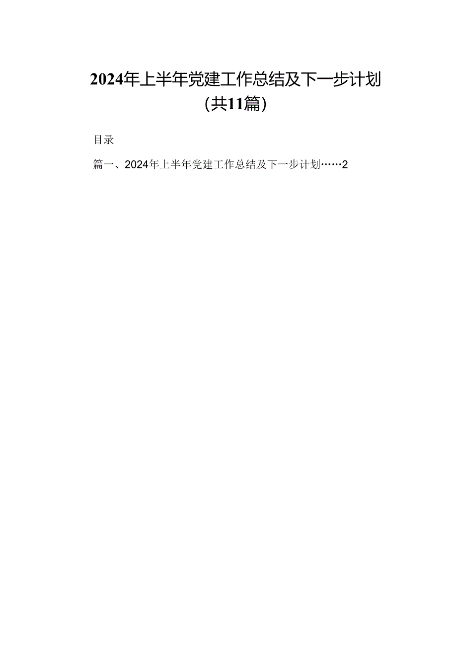 （11篇）2024年上半年党建工作总结及下一步计划（详细版）.docx_第1页