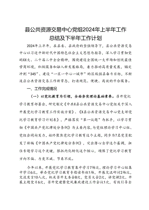 县公共资源交易中心党组2024年上半年工作总结及下半年工作计划.docx