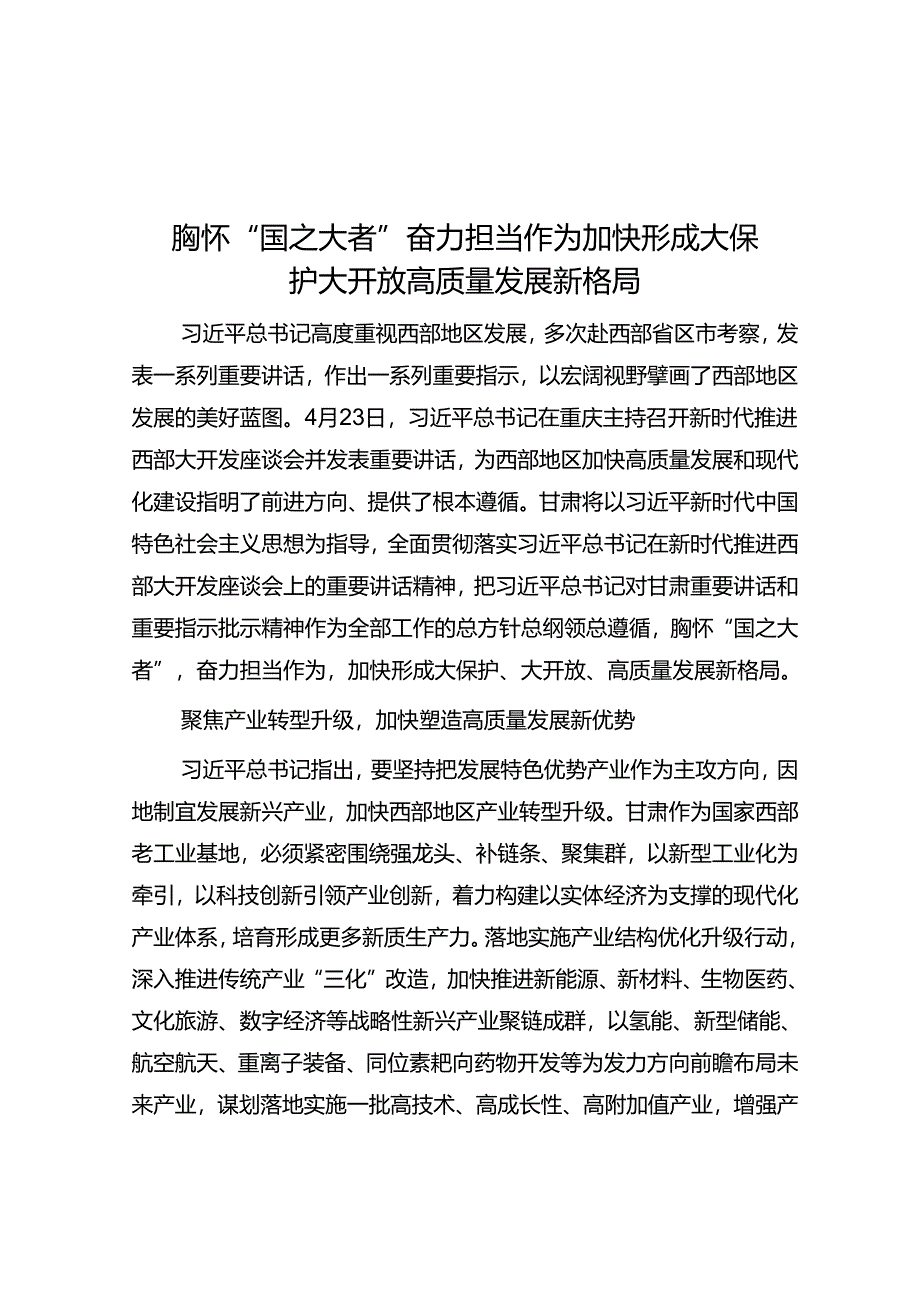 胸怀“国之大者”奋力担当作为加快形成大保护大开放高质量发展新格局.docx_第1页