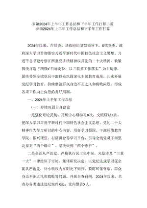 乡镇2024年上半年工作总结和下半年工作打算二篇.docx