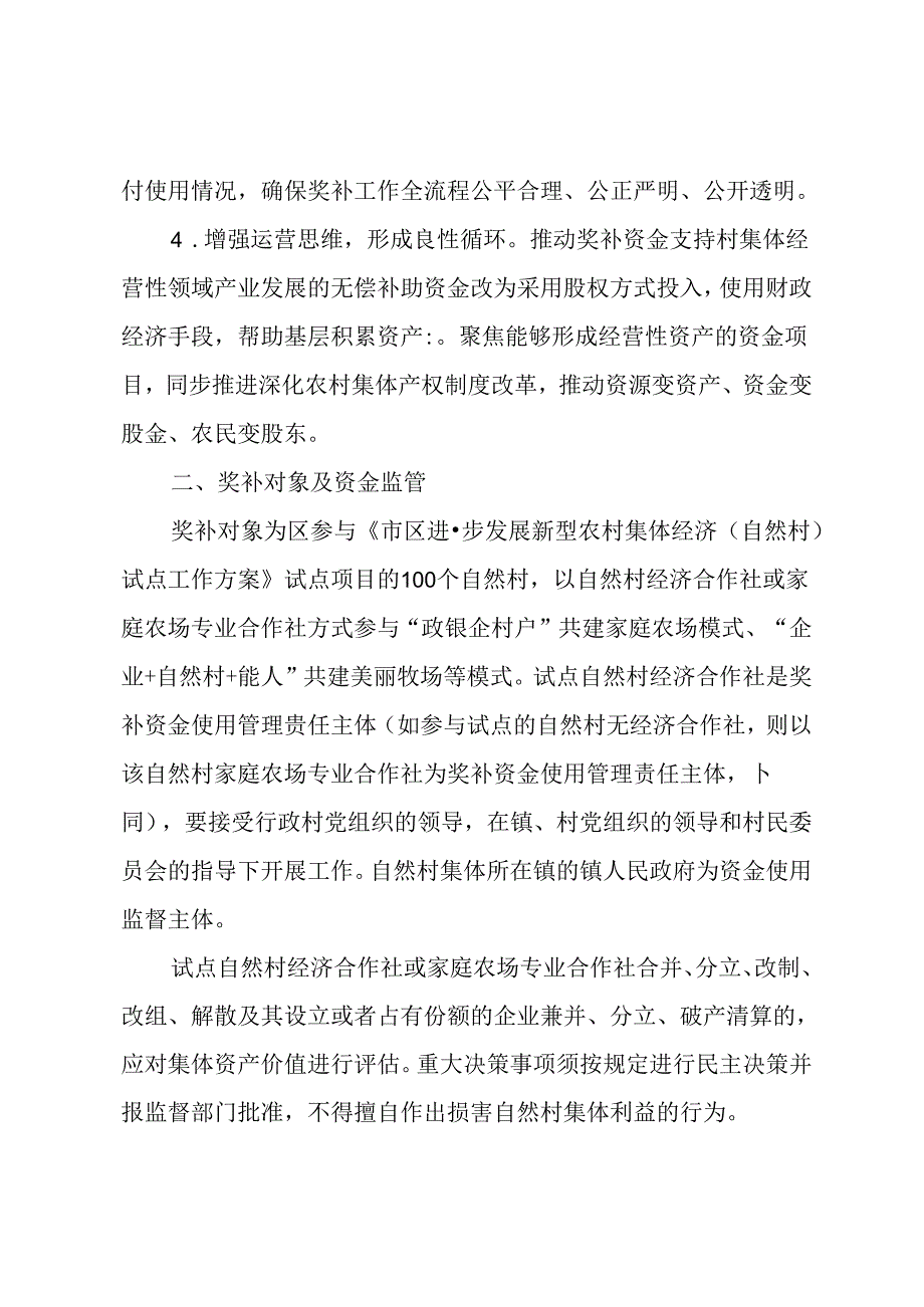 关于发展新型农村集体经济（自然村）试点项目政府奖补实施方案.docx_第3页