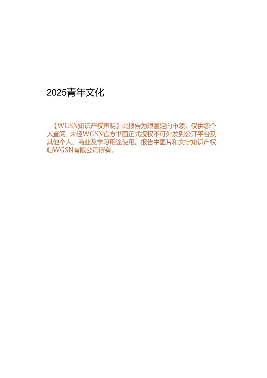 2025青年文化报告.docx_第2页