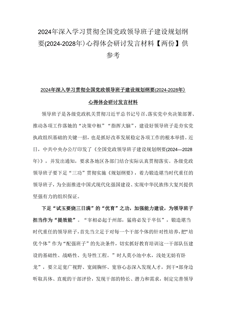 2024年深入学习贯彻全国党政领导班子建设规划纲要(2024-2028年)心得体会研讨发言材料【两份】供参考.docx_第1页