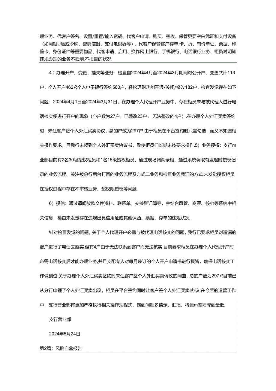 2024年十风险自查报告（共3篇）.docx_第2页