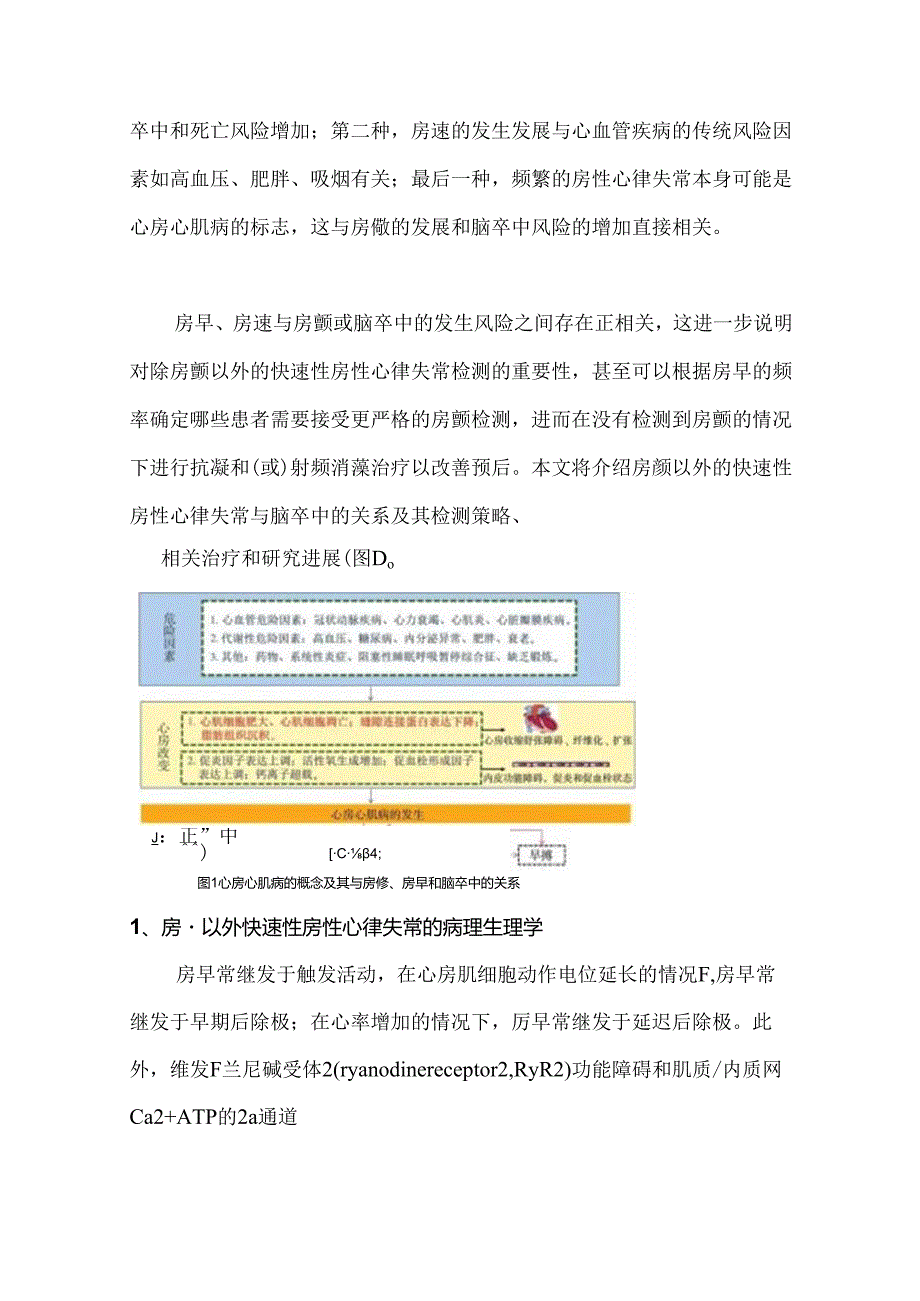 2024心房颤动以外的快速性房性心律失常.docx_第2页