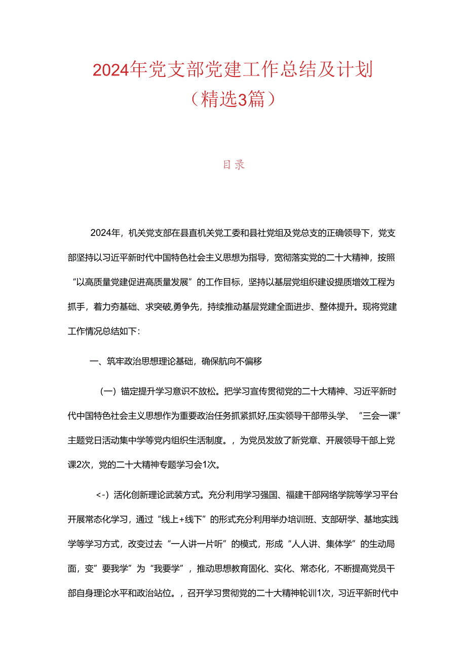 2024年党支部党建工作总结及计划.docx_第1页