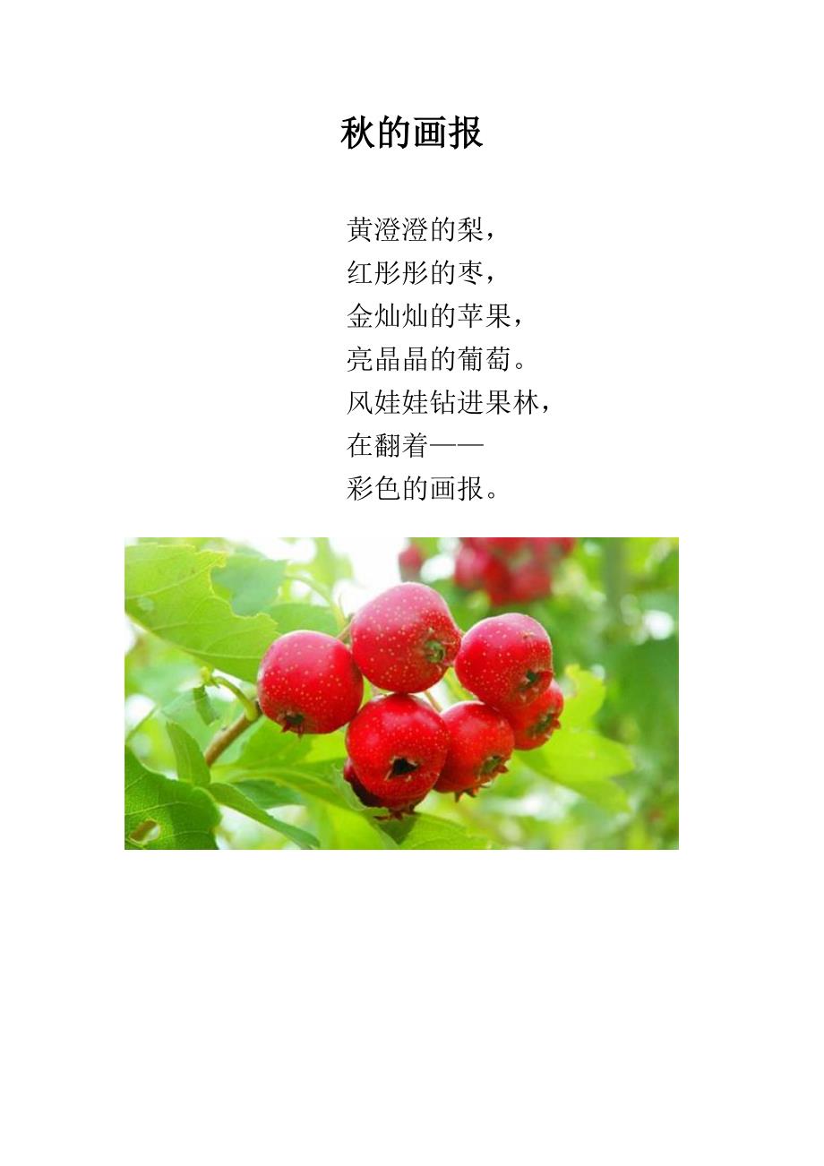 大班语言《的画报》PPT课件教案配音微反思.docx_第1页