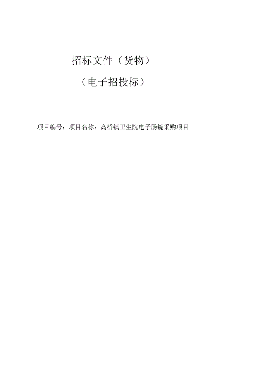 卫生院电子肠镜采购项目招标文件.docx_第1页