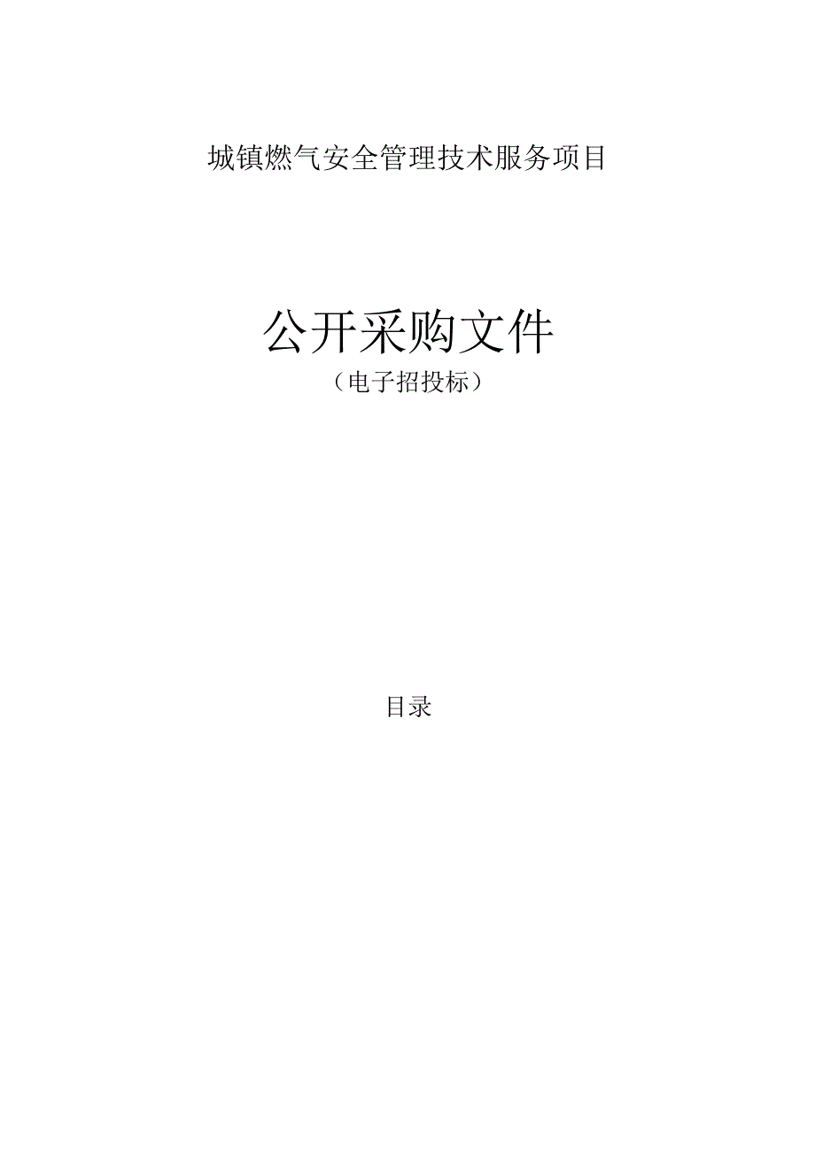 城镇燃气安全管理技术服务项目招标文件.docx_第1页