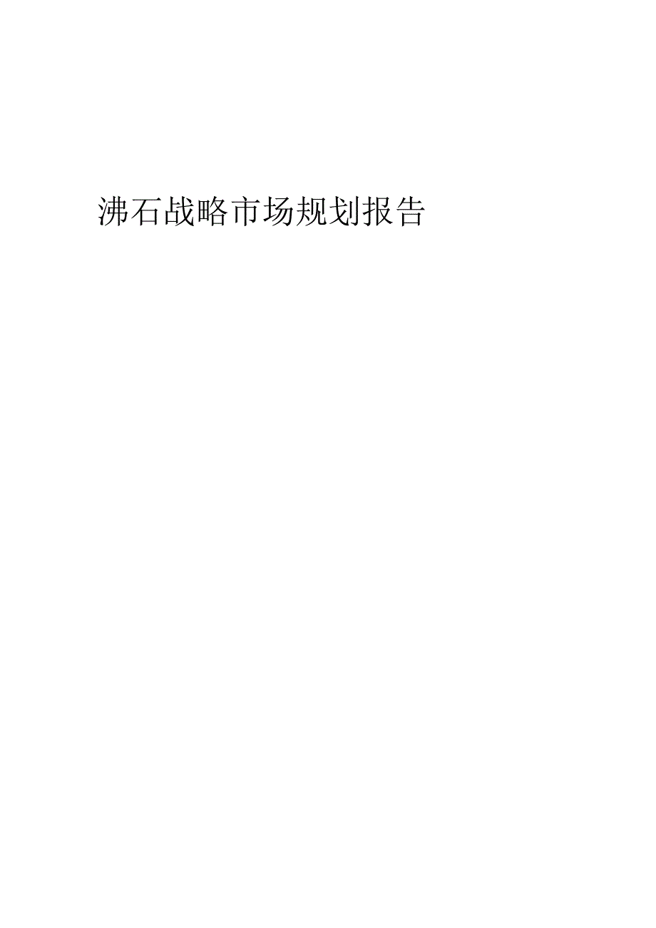 沸石战略市场规划报告.docx_第1页