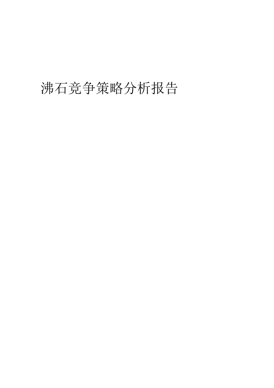 沸石竞争策略分析报告.docx_第1页