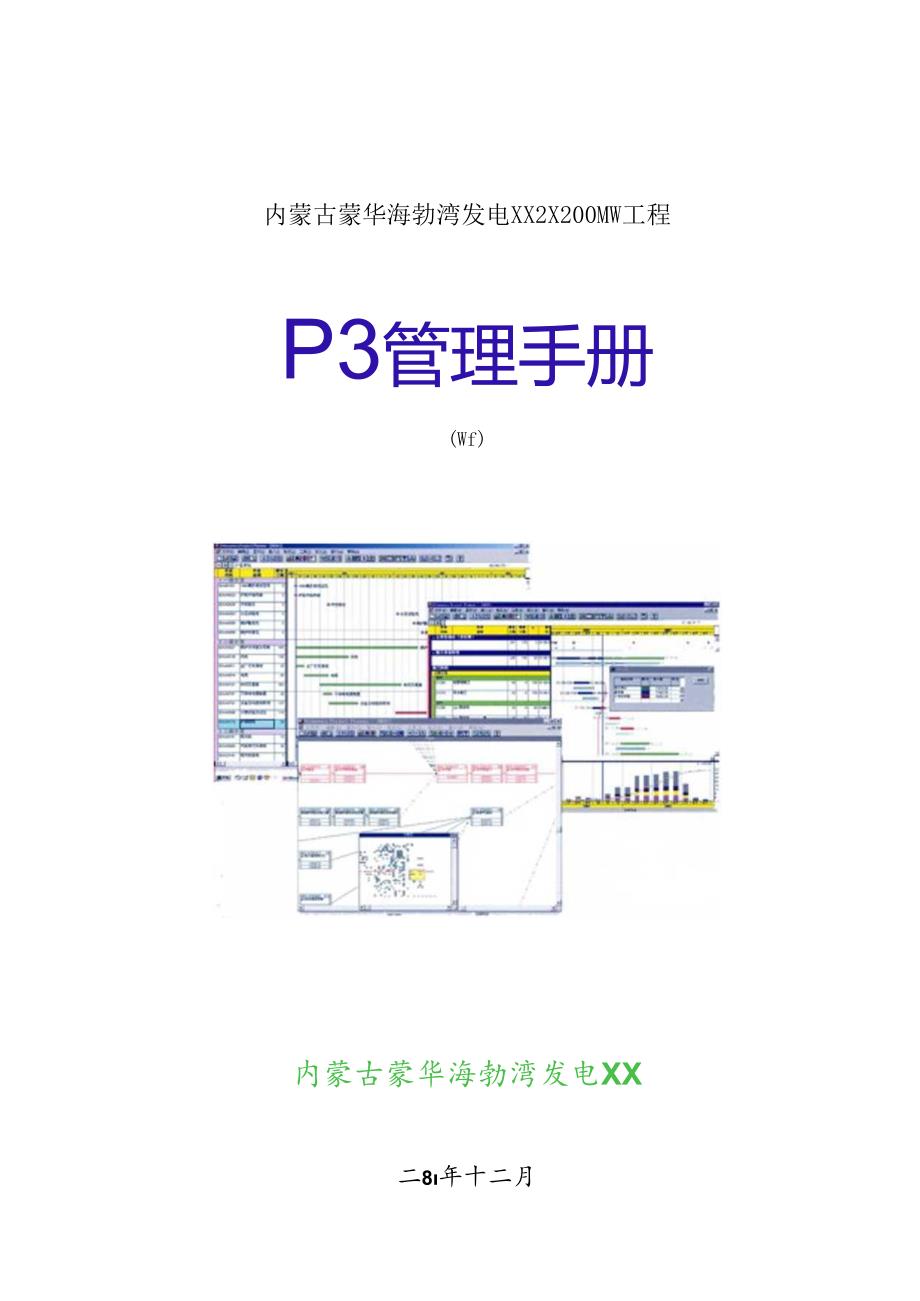 某集团发电工程P3管理手册.docx_第1页