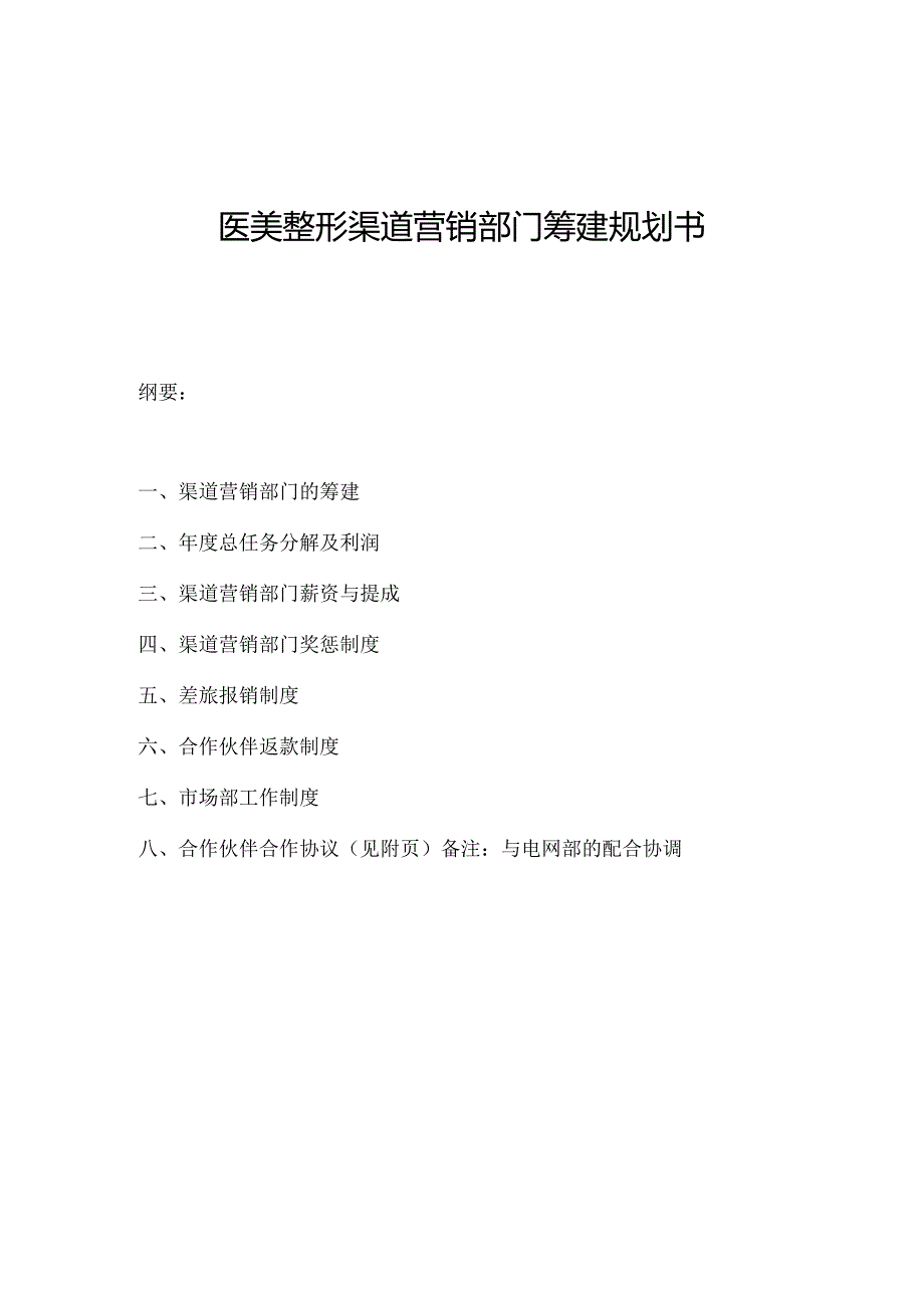 医美整形医院渠道营销筹建规划书.docx_第1页