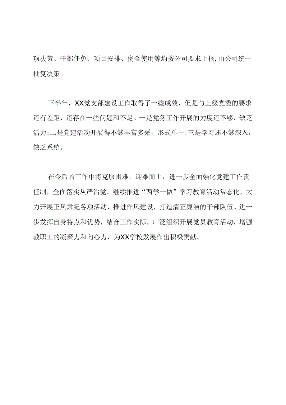 2020年学校新成立党支部工作总结.docx_第3页