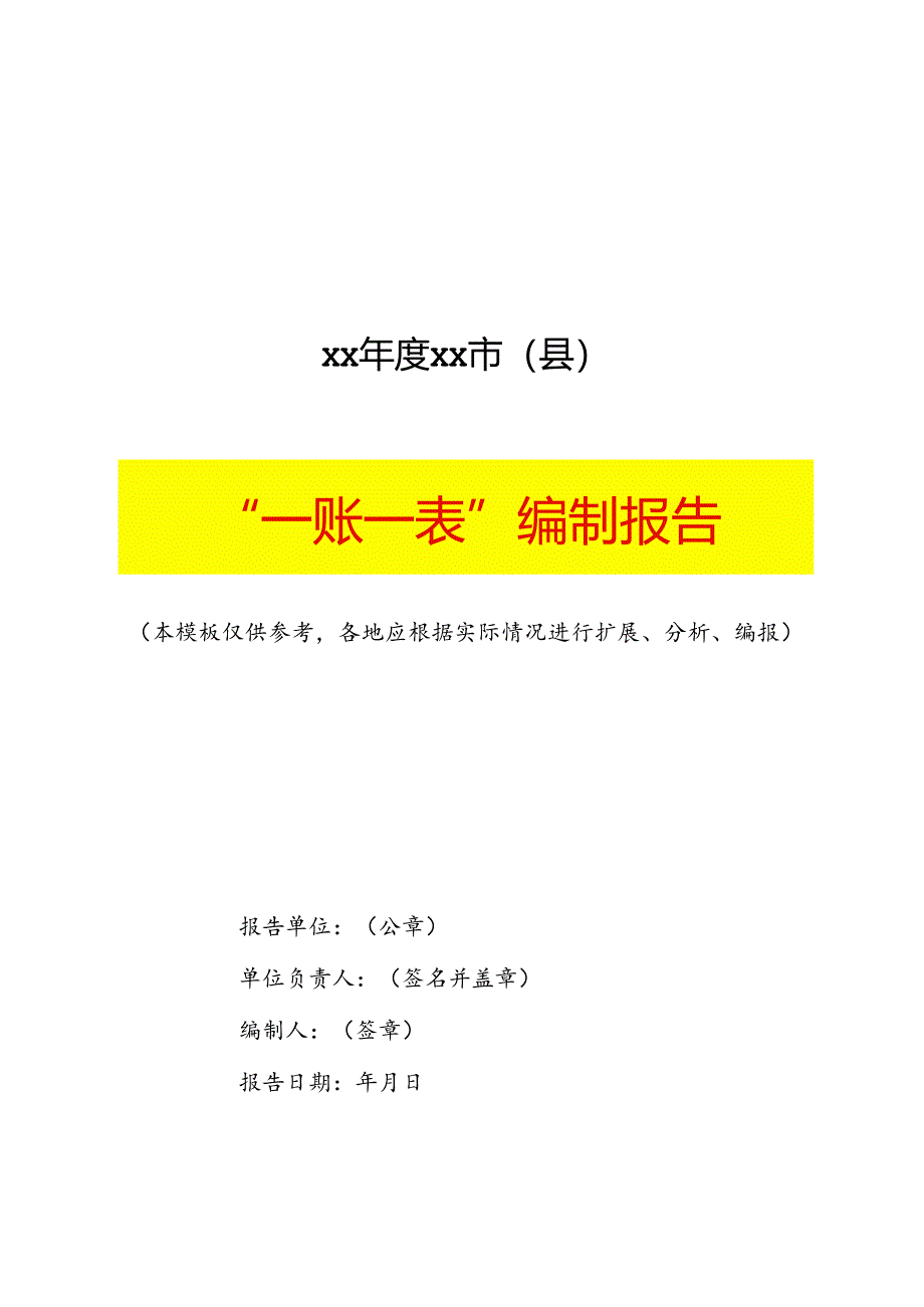 “一账一表“编制报告模板.docx_第1页