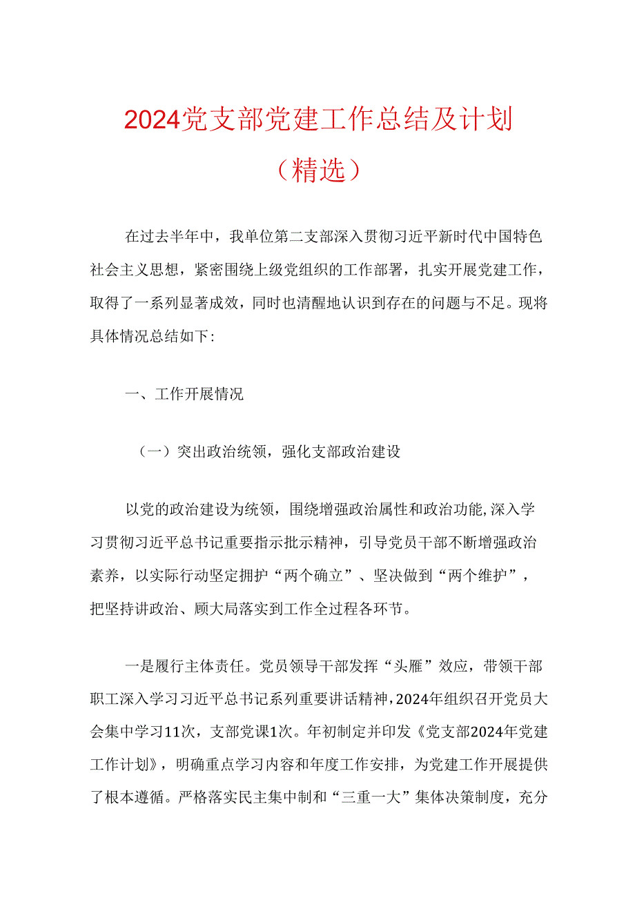 2024党支部党建工作总结及计划（精选）.docx_第1页