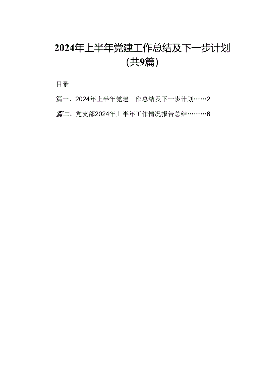 2024年上半年党建工作总结及下一步计划9篇（详细版）.docx_第1页