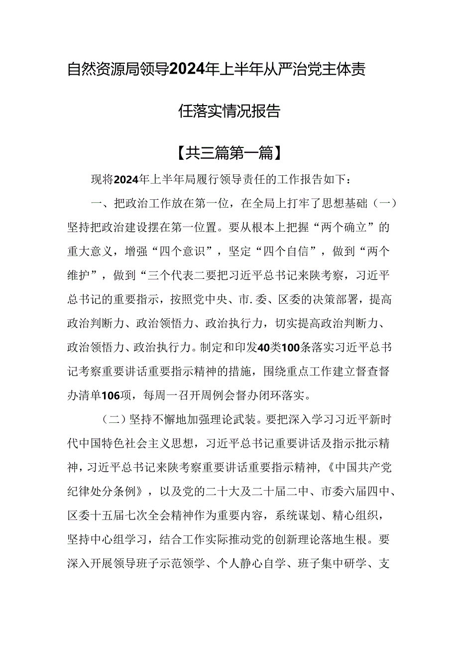 （3篇）自然资源局领导2024年上半年从严治党主体责任落实情况报告.docx_第1页