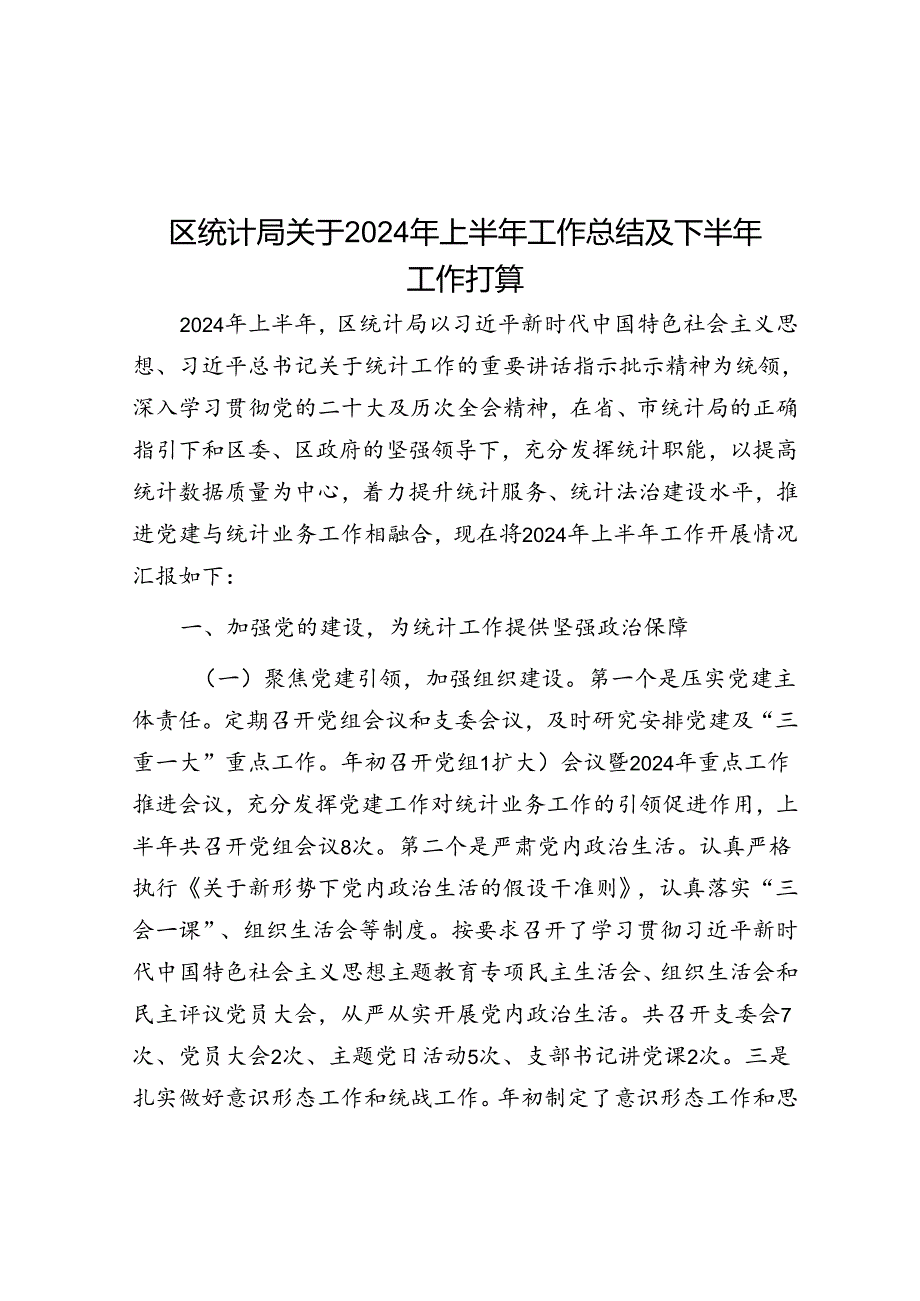 区统计局关于2024年上半年工作总结及下半年工作打算.docx_第1页