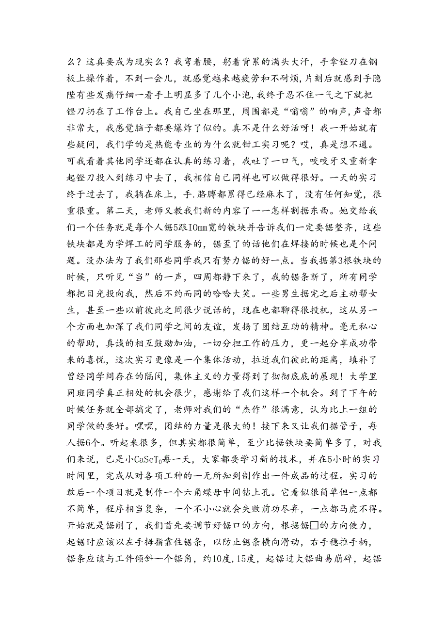 钳工实训报告1500字.docx_第2页