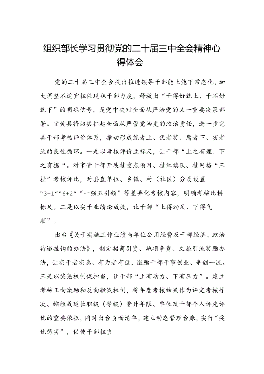 组织部长学习贯彻党的二十届三中全会精神心得体会.docx_第1页