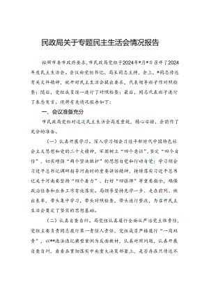 民政局关于专题民主生活会情况报告.docx