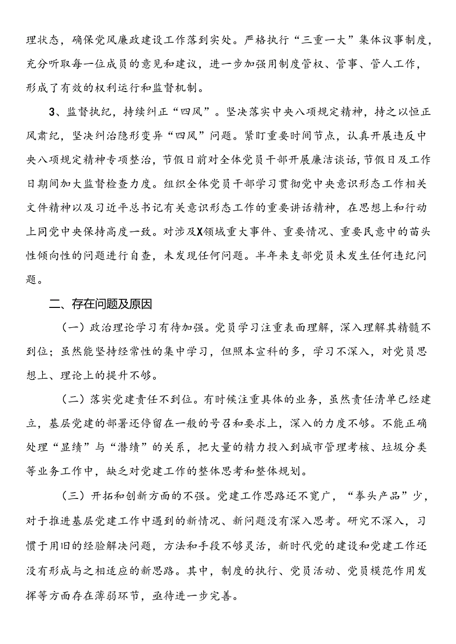 党支部书记2024年上半年党建述职报告.docx_第3页